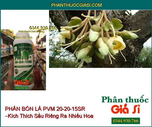 PHÂN BÓN LÁ CAO CẤP PVM 20-20-15SR – Rễ Ra Mạnh- Đâm Chồi Đẻ Nhánh Khỏe- Ra Hoa Đậu Trái Nhiều