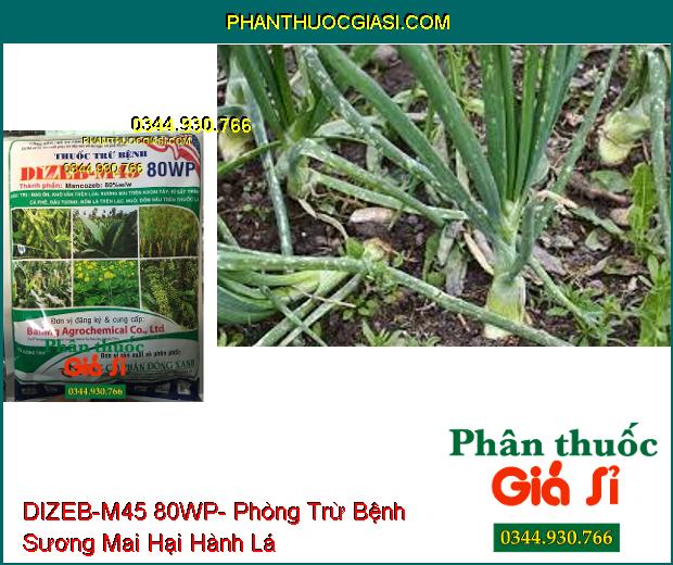 THUỐC TRỪ BỆNH DIZEB-M45 80WP-