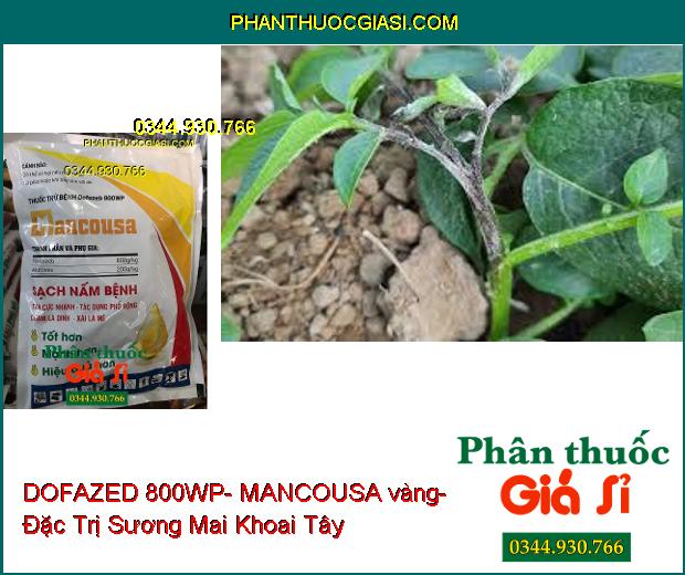 DOFAZED 800WP- MANCOUSA vàng- Sạch Nấm Bệnh- Đặc Trị Sương Mai Khoai Tây