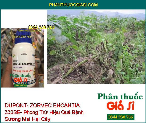 THUỐC TRỪ BỆNH DUPONT- ZORVEC ENCANTIA 330SE- Phòng Trừ Hiệu Quả Bệnh Sương Mai Hại Cây