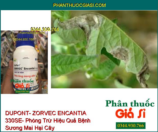 THUỐC TRỪ BỆNH DUPONT- ZORVEC ENCANTIA 330SE- Phòng Trừ Hiệu Quả Bệnh Sương Mai Hại Cây