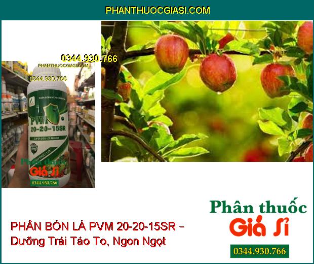 PHÂN BÓN LÁ CAO CẤP PVM 20-20-15SR – Rễ Ra Mạnh- Đâm Chồi Đẻ Nhánh Khỏe- Ra Hoa Đậu Trái Nhiều