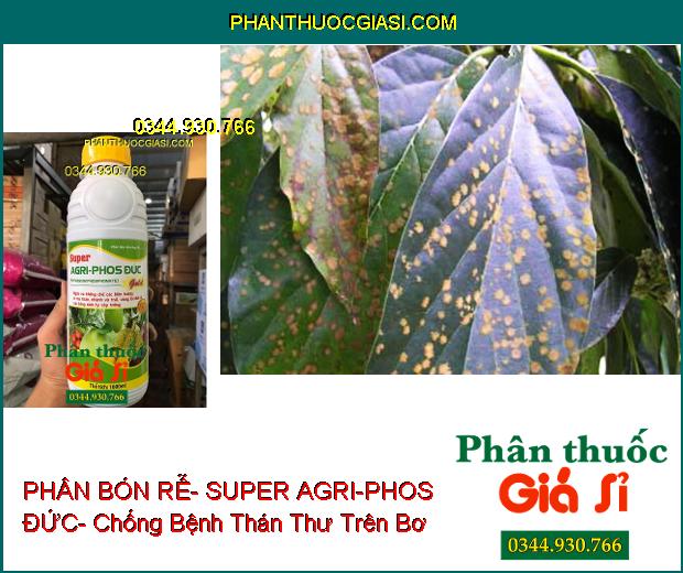 PHÂN BÓN LÁ HỖN HỢP PK BÓN RỄ- SUPER AGRI-PHOS ĐỨC- Ngừa Xì Mủ Thân- Vàng Lá- Thối Rễ