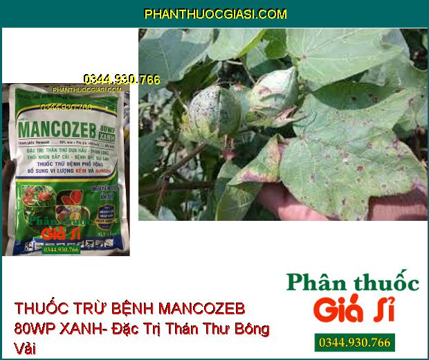 THUỐC TRỪ BỆNH MANCOZEB 80WP XANH- Đặc Trị Thán Thư- Thối Nhũn- Ghẻ Sẹo- Bổ Sung Vi Lượng