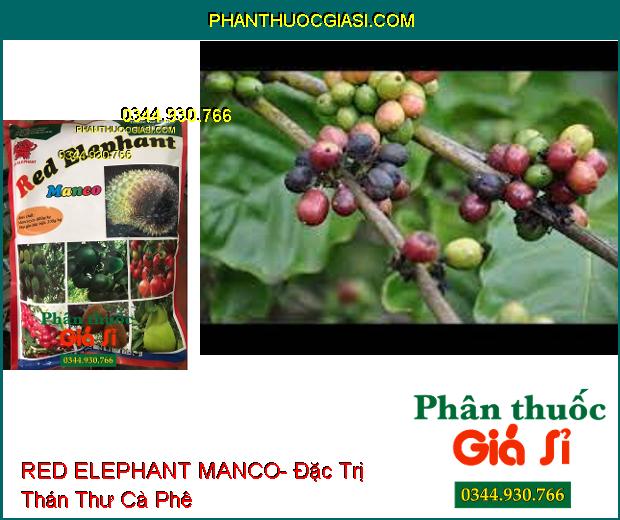 RED ELEPHANT MANCO- Đặc Trị Nứt Thân Xì Mủ- Bệnh Chết Nhanh- Thán Thư- Thối Trái