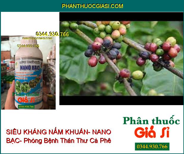 SIÊU KHÁNG NẤM KHUẨN- NANO BẠC- Bảo Vệ Cây Trái Sạch Nấm Bệnh- Tăng Năng Suất- Đẹp Mã