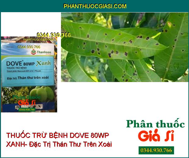 THUỐC TRỪ BỆNH DOVE 80WP XANH- Đặc Trị Thán Thư Trên Xoài