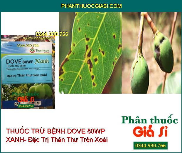 THUỐC TRỪ BỆNH DOVE 80WP XANH- Đặc Trị Thán Thư Trên Xoài