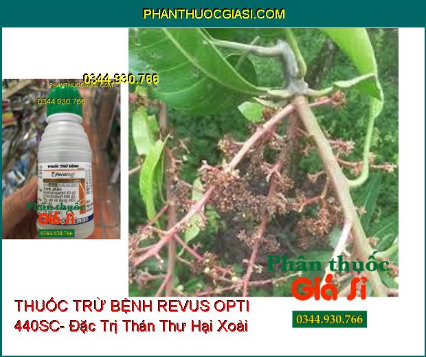 THUỐC TRỪ BỆNH REVUS OPTI 440SC- Đặc Trị Thán Thư- Sương Mai- Nứt Dây- Thối Rễ