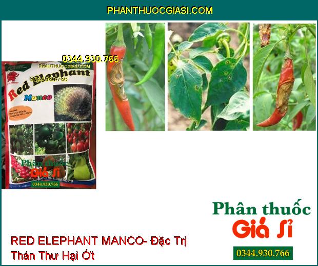 RED ELEPHANT MANCO- Đặc Trị Nứt Thân Xì Mủ- Bệnh Chết Nhanh- Thán Thư- Thối Trái