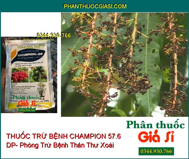 THUỐC TRỪ BỆNH CHAMPION 57.6 DP- Phòng Trừ Hiệu Quả Bệnh Tảo Đỏ Và Rụng Quả Cà Phê