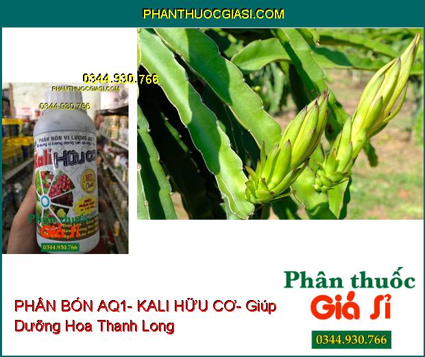 PHÂN BÓN VI LƯỢNG AQ1- KALI HỮU CƠ – Xanh Cây- Chống Rụng Trái- To Trái- Tăng Hương Vị