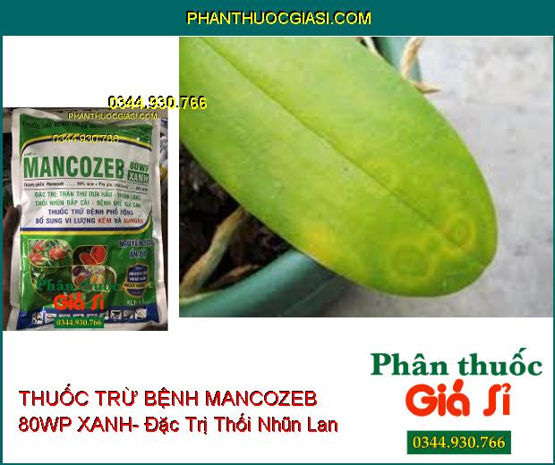 THUỐC TRỪ BỆNH MANCOZEB 80WP XANH- Đặc Trị Thán Thư- Thối Nhũn- Ghẻ Sẹo- Bổ Sung Vi Lượng