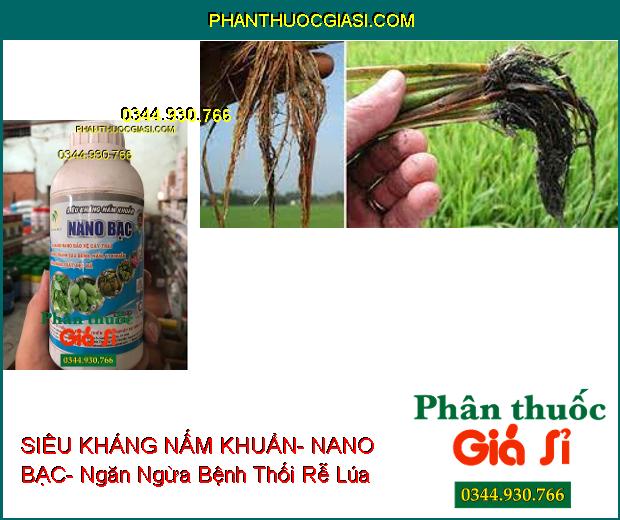 SIÊU KHÁNG NẤM KHUẨN- NANO BẠC- Bảo Vệ Cây Trái Sạch Nấm Bệnh- Tăng Năng Suất- Đẹp Mã