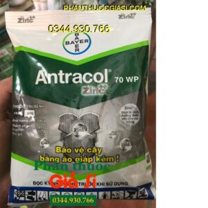 THUỐC TRỪ BỆNH ANTRACOL 70WP