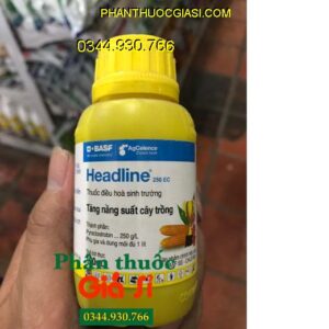 THUỐC ĐIỀU HÒA SINH TRƯỞNG HEADLINE 250EC- Kích Thích Cây Tăng Trưởng- Đâm Chồi Đẻ Nhánh Mạnh- Trái Nhanh Lớn