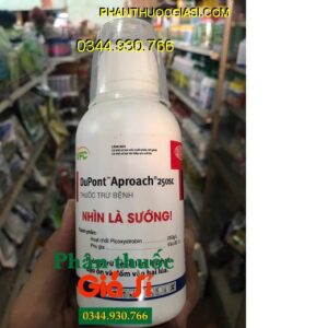 THUỐC TRỪ BỆNH DUPONT APROACH 250SC- Phòng Trừ Bệnh Lem Lép Hạt- Đạo Ôn- Đốm Vằn