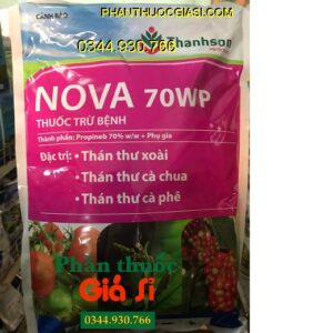 THUỐC TRỪ NẤM BỆNH NOVA 70WP- Đặc Trị Bệnh Thán Thư Trên Cây Trồng