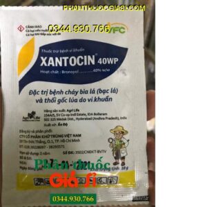 THUỐC TRỪ BỆNH VI KHUẨN XANTOCIN 40WP- Đặc Trị Bệnh Cháy Bìa Lá Và Thối Gốc Lúa Do Vi Khuẩn