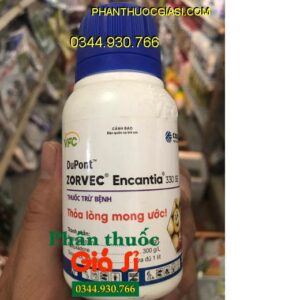 THUỐC TRỪ BỆNH DUPONT- ZORVEC ENCANTIA 330SE- Phòng Trừ Hiệu Quả Bệnh Sương Mai Hại Cây