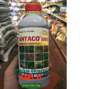 THUỐC TRỪ CỎ ANTACO 500EC- Thuốc Diệt Mầm Cỏ- Trừ Cỏ lá Rộng Và Lá Hẹp