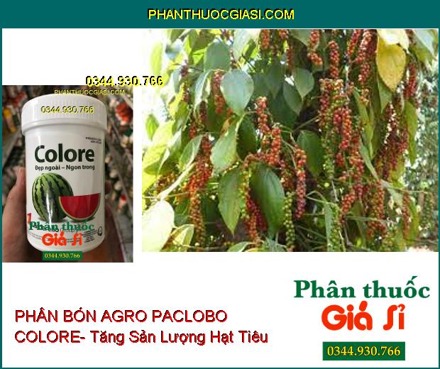 PHÂN BÓN VI LƯỢNG AGRO PACLOBO COLORE- Tăng Phẩm Chất Trái- Tăng Hương Vị