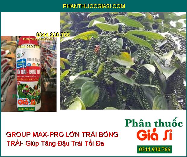 PHÂN BÓN VI LƯỢNG GROUP MAX-PRO LỚN TRÁI BÓNG TRÁI- Ra Hoa Mạnh- Trái To- Nặng Ký