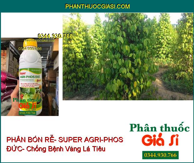 PHÂN BÓN LÁ HỖN HỢP PK BÓN RỄ- SUPER AGRI-PHOS ĐỨC- Ngừa Xì Mủ Thân- Vàng Lá- Thối Rễ