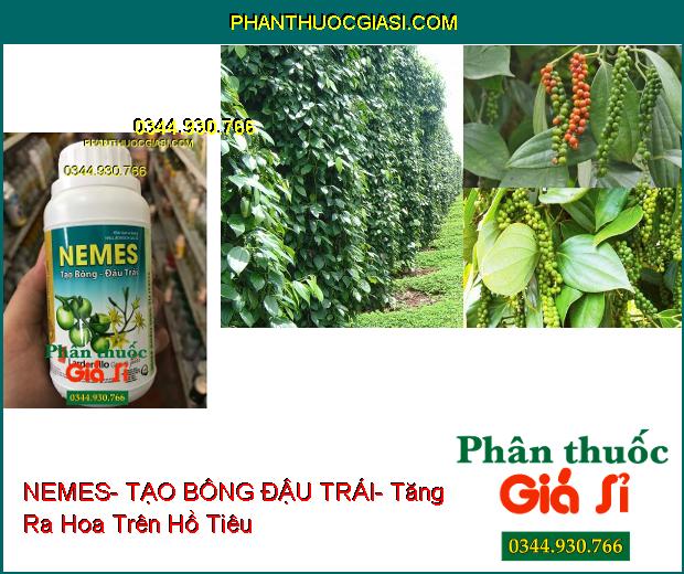 PHÂN BÓN VI LƯỢNG NEMES- TẠO BÔNG ĐẬU TRÁI- Mập Bông- Đậu Nhiều Trái- Tạo Trái Đều