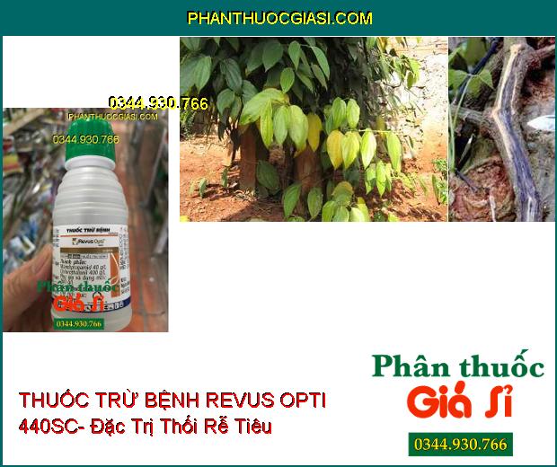 THUỐC TRỪ BỆNH REVUS OPTI 440SC- Đặc Trị Thán Thư- Sương Mai- Nứt Dây- Thối Rễ