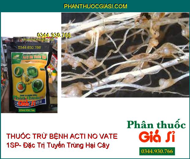 THUỐC TRỪ BỆNH SINH HỌC ACTI NO VATE 1SP- Đặc Trị Tuyến Trùng- Thối Rễ- Héo Xanh- Mốc Xám