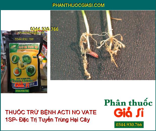 THUỐC TRỪ BỆNH SINH HỌC ACTI NO VATE 1SP- Đặc Trị Tuyến Trùng- Thối Rễ- Héo Xanh- Mốc Xám