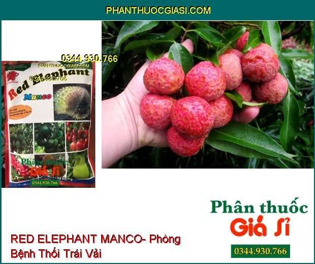 RED ELEPHANT MANCO- Đặc Trị Nứt Thân Xì Mủ- Bệnh Chết Nhanh- Thán Thư- Thối Trái