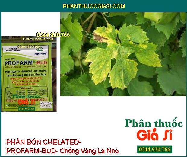 PHÂN BÓN VI LƯỢNG CHELATED- PROFARM-BUD- Mầm Hoa To- Đậu Trái- Dai Cuống- Chống Xoăn Vàng Lá