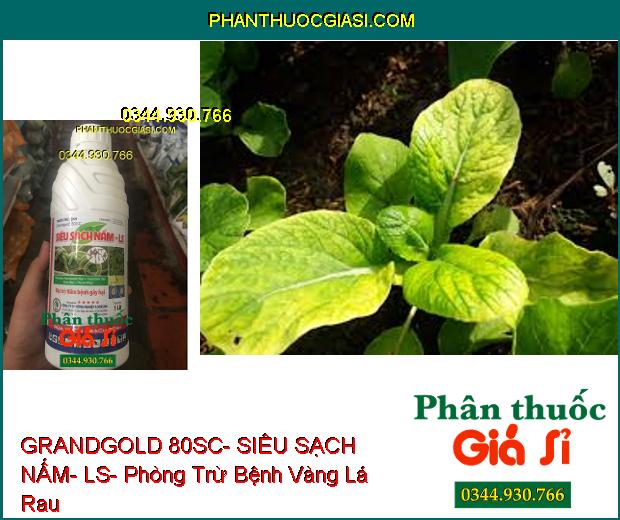 THUỐC TRỪ BỆNH GRANDGOLD 80SC- SIÊU SẠCH NẤM- LS- Phòng Trừ Các Bệnh Do Nấm Gây Ra