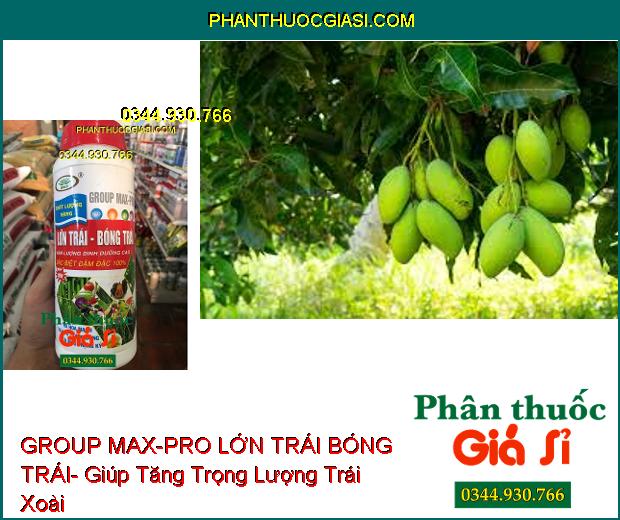 PHÂN BÓN VI LƯỢNG GROUP MAX-PRO LỚN TRÁI BÓNG TRÁI- Ra Hoa Mạnh- Trái To- Nặng Ký