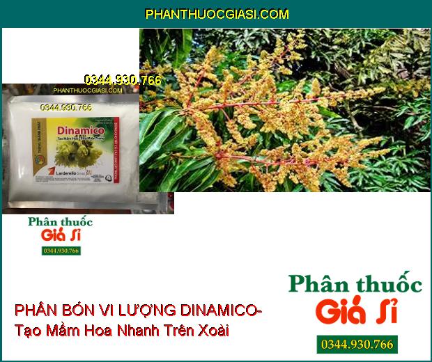 PHÂN BÓN VI LƯỢNG DINAMICO- Tạo Mầm Hoa- Phá Miên Trạng- Kích Rễ Bung Mạnh