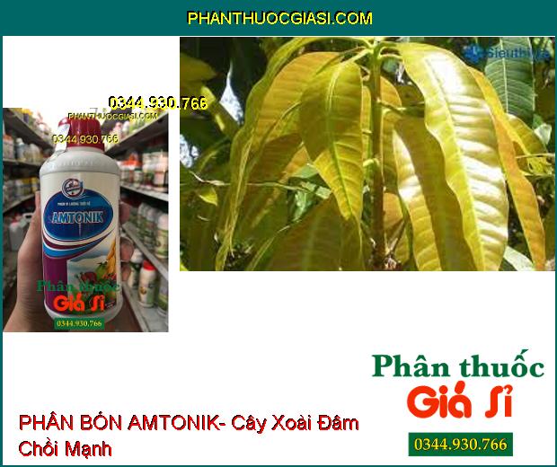 PHÂN BÓN VI LƯỢNG TƯỚI RỄ AMTONIK- Cây Tăng Trưởng Mạnh- Ra Rễ Nảy Mầm- Đâm Chồi Mạnh