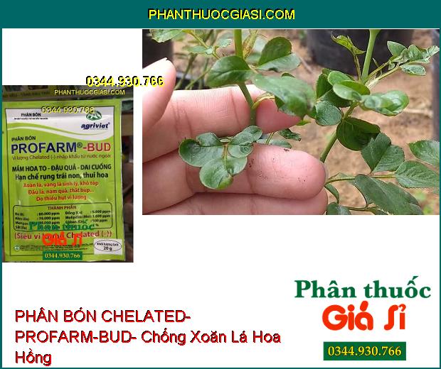 PHÂN BÓN VI LƯỢNG CHELATED- PROFARM-BUD- Mầm Hoa To- Đậu Trái- Dai Cuống- Chống Xoăn Vàng Lá