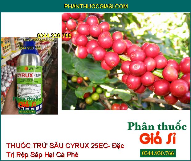 THUỐC TRỪ SÂU CYRUX 25EC- Đặc Trị Sâu Xanh Hại Bông Vải- Rệp Sáp Hại Cà Phê