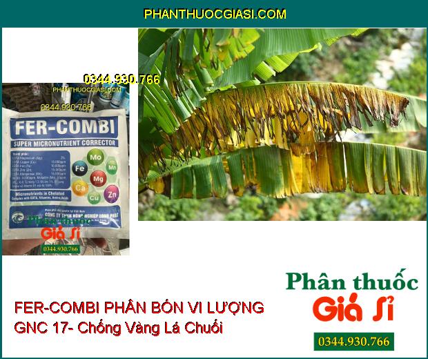 FER-COMBI PHÂN BÓN VI LƯỢNG GNC 17- Cung Cấp Vi Chất Cần Thiết Cho Cây- Giúp Cây Phục Hồi Nhanh