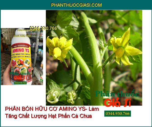 PHÂN BÓN HỮU CƠ AMINO YS- To Trái- Bóng Trái- Đẹp Màu- Mập Thân