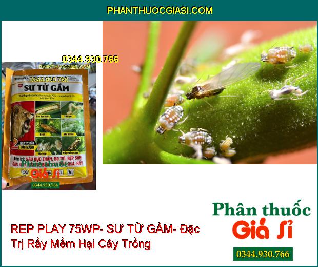 THUỐC TRỪ SÂU REP PLAY 75WP- SƯ TỬ GẦM- Đặc Trị Sâu Đục Thân- Bọ Trĩ- Rầy- Rệp Sáp