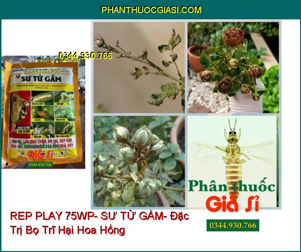 THUỐC TRỪ SÂU REP PLAY 75WP- SƯ TỬ GẦM- Đặc Trị Sâu Đục Thân- Bọ Trĩ- Rầy- Rệp Sáp