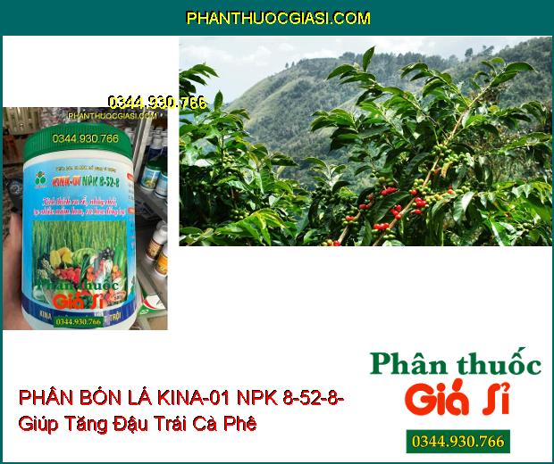 PHÂN BÓN LÁ KINA-01 NPK 8-52-8- Kích Thích Ra Rễ- Nhảy Chồi- Tạo Nhiều Mầm Hoa