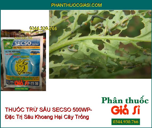 THUỐC TRỪ SÂU SECSO 500WP- Đặc Trị Rầy Nâu- Sâu Khoang- Bọ Xít Muỗi