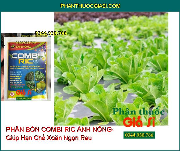 PHÂN BÓN VI LƯỢNG COMBI RIC ÁNH NÔNG- Giúp Dưỡng Xanh Dày Lá- Hạn Chế Xoăn Lá- Chống Rụng Trái Non