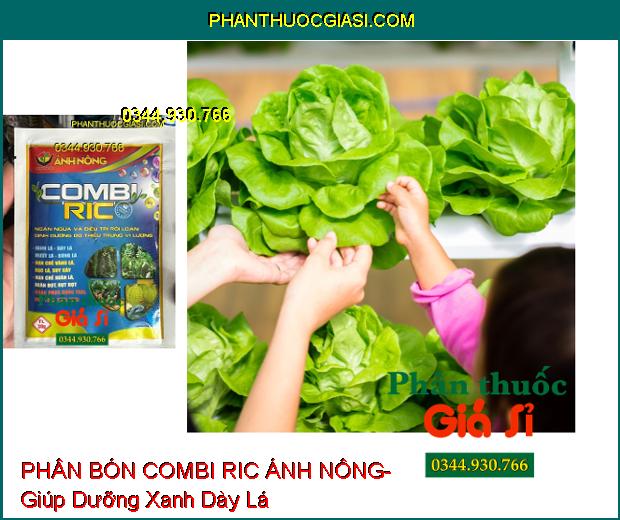 PHÂN BÓN VI LƯỢNG COMBI RIC ÁNH NÔNG- Giúp Dưỡng Xanh Dày Lá- Hạn Chế Xoăn Lá- Chống Rụng Trái Non