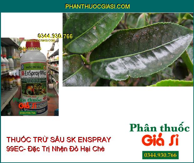 THUỐC TRỪ SÂU SK ENSPRAY 99EC- Đặc Trị Nhện Đỏ- Nhện Lông Nhung- Sâu Hồng Đục Quả Bưởi