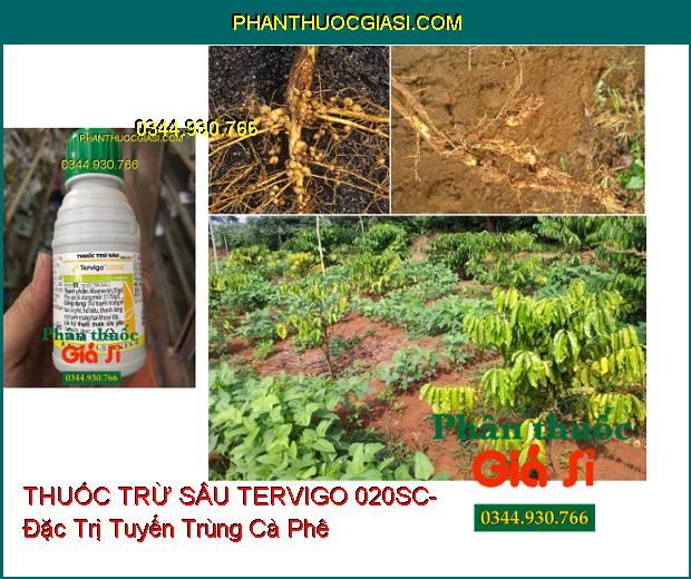 THUỐC TRỪ SÂU SINH HỌC TERVIGO 020SC- Đặc Trị Tuyến Trùng Rễ- Giúp Cho Rộ Rễ Khỏe Mạnh